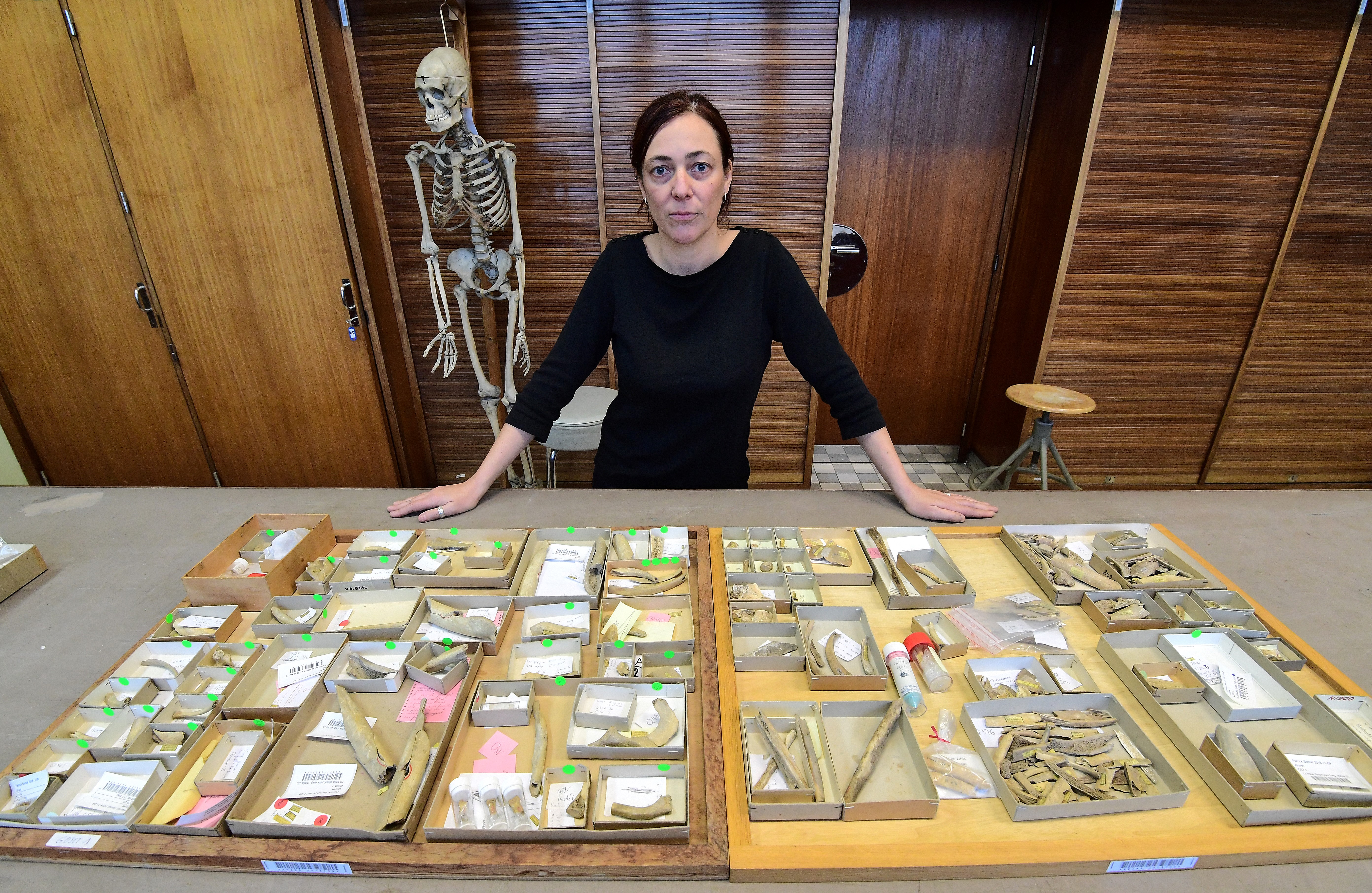 DOUNIAMAG-BELGIUM-SCIENCE-ARCHEOLOGY-ANTHROPOLOGY-NEANDERTHAL